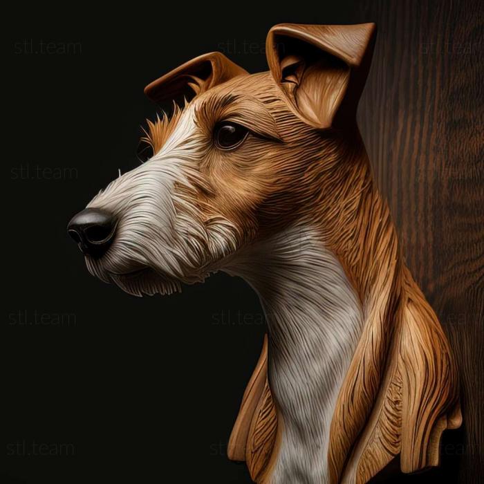 Smooth   haired fox terrier dog